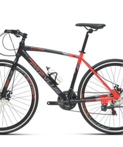 Xe đạp Touring Papylus Pt700