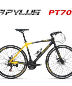 Xe đạp touring Papylus PT700 33 Xe đạp Touring Papylus Pt700 Màu đen Vàng