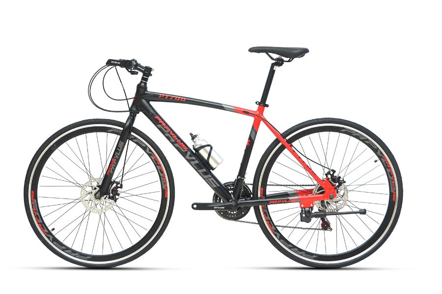 Xe đạp touring Papylus PT700 51 Xe đạp Touring Papylus Pt700