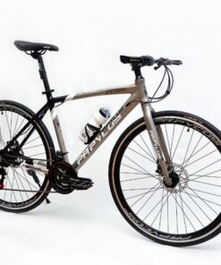 Xe đạp Touring Papylus Pt700s