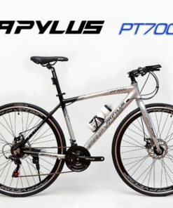 Xe đạp touring Papylus PT700S giảm giá 200K + KM 41 Xe đạp Touring Papylus Pt700s Màu Bạc Titan