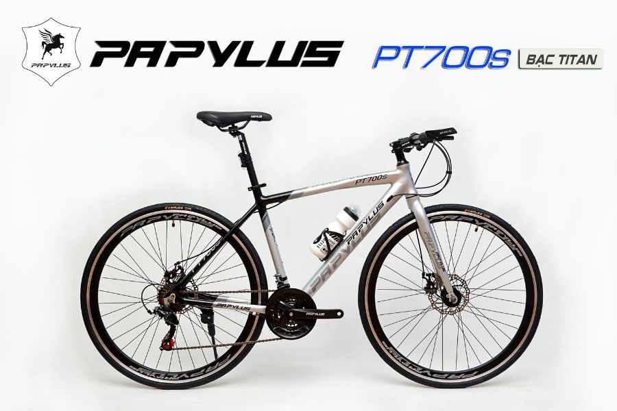 Xe đạp touring Papylus PT700S giảm giá 200K + KM 57 Xe đạp Touring Papylus Pt700s Màu Bạc Titan