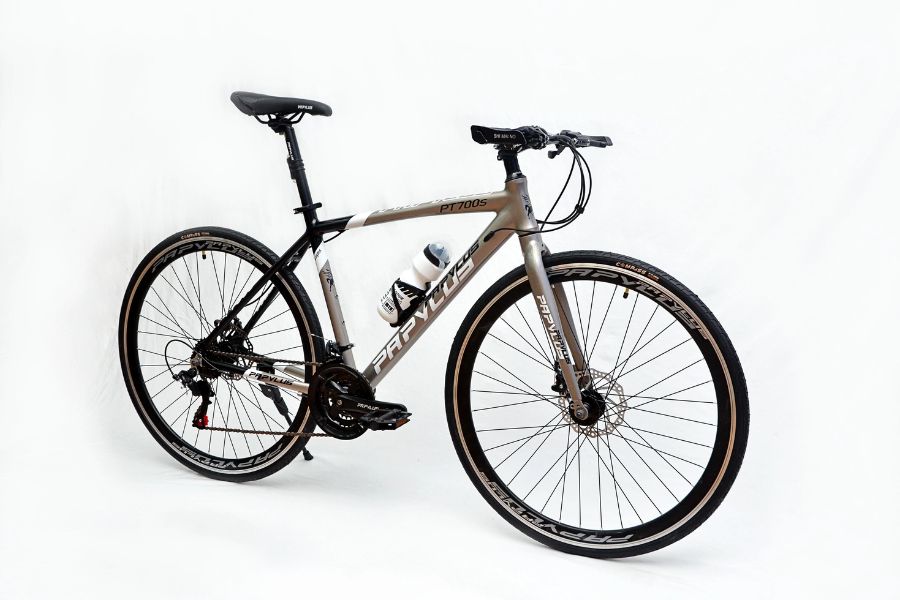 Xe đạp touring Papylus PT700S giảm giá 200K + KM 58 Xe đạp Touring Papylus Pt700s