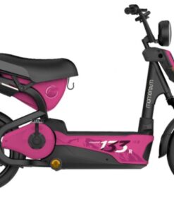 Xe điện Giant M133r (4 BÌnh) Bản 2024 Màu Hồng
