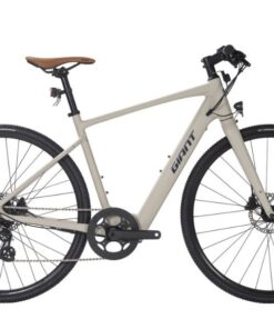 Xe điện Trợ Lực Giant Fastroad E+ Bản 2023 Màu Trắng