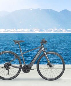 Xe đạp điện trợ lực Giant Fast E+ 1 bản 2023 26 Xe điện Trợ Lực Giant Fast E+1 Bản 2023 Màu Ghi ảnh Thật