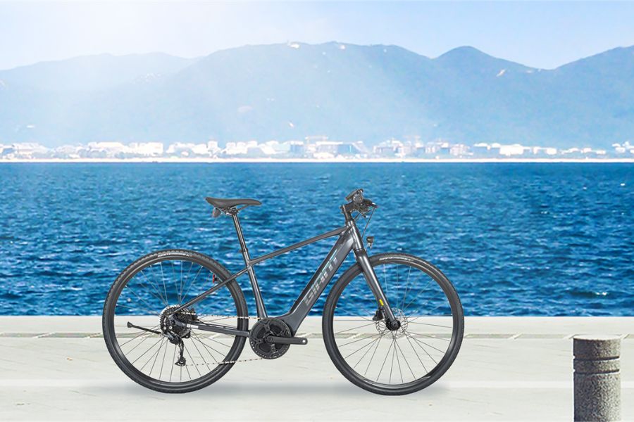 Xe đạp điện trợ lực Giant Fast E+ 1 bản 2023 39 Xe điện Trợ Lực Giant Fast E+1 Bản 2023 Màu Ghi ảnh Thật