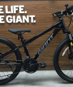 Xe Trẻ Em Giant Atx 24 D 1 Bản 2025 Màu đen