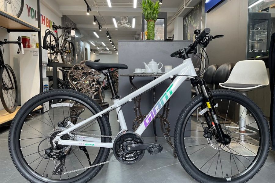 Xe đạp địa hình trẻ em cao cấp Giant ATX 24 D 1 bản 2025 29 Xe Trẻ Em Giant Atx 24 D 1 Bản 2025 Màu Trắng