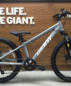 Xe Trẻ Em Giant Atx 24 D 2 Bản 2025 Màu Xám