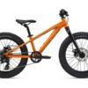 Xe Trẻ Em Giant Stp 20 Bản 2024 Màu Cam