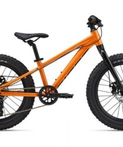 Xe Trẻ Em Giant Stp 20 Bản 2024 Màu Cam