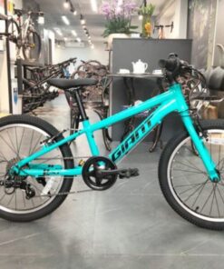 Xe Trẻ Em Giant Xtc 20-p Bản 2024 Màu Xanh