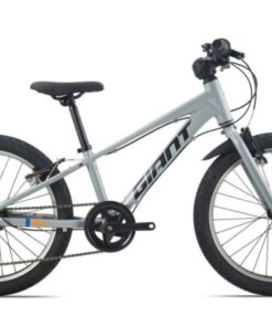 Xe Trẻ Em Giant Xtc 20 Bản 2025 Màu Xám