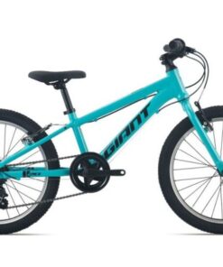 Xe đạp trẻ em cao cấp Giant XTC 20 bản 2025 16 Xe Trẻ Em Giant Xtc 20 Bản 2025 Màu Xanh