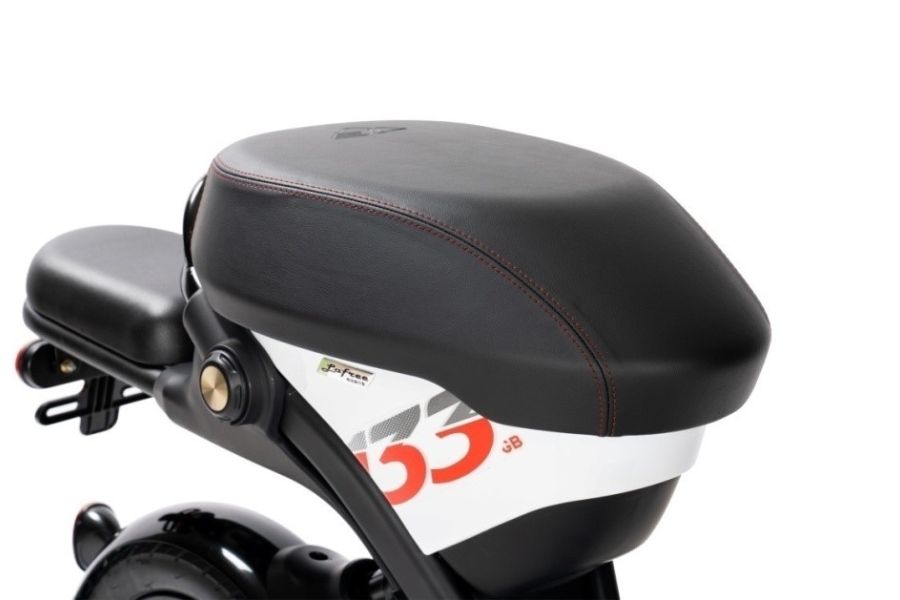 Xe đạp điện Giant L-GB133 55 Yên Chuyên Dụng Xe điện Giant L-gb133