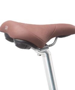 Xe đạp đường phố Momentum iNeed Latte 24 bản 2024 40 Yên Ngồi Xe đạp đường Phố Momentum Ineed Latte 24 Bản 2024