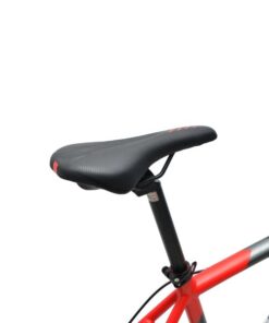 Xe đạp touring Papylus PT700 46 Yên Xe đạp Touring Papylus Pt700