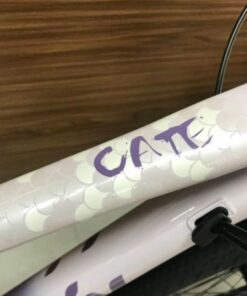 Xe đạp địa hình Liv Cate 1 bản 2023 24 Khung Ngang Xe đạp địa Hình Liv Cate 1 Bản 2023