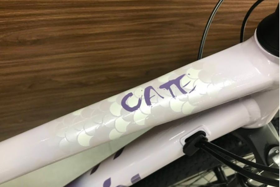 Xe đạp địa hình Liv Cate 1 bản 2023 31 Khung Ngang Xe đạp địa Hình Liv Cate 1 Bản 2023