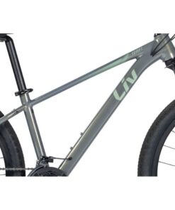 Khung Sườn Xe đạp địa Hình Liv Tempt 1 Bản 2025