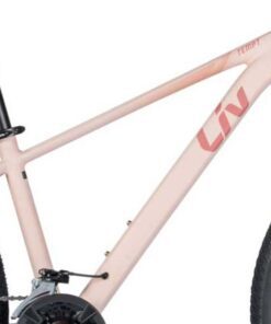 Khung Sườn Xe đạp địa Hình Liv Tempt 2 Bản 2025