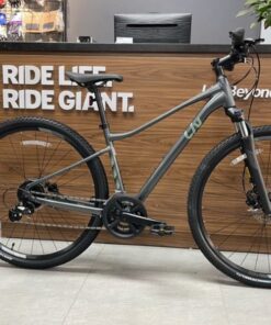 Xe đạp địa Hình Liv Rove 3 Dd Bản 2024