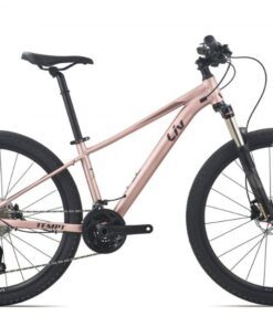 Xe đạp địa Hình Liv Tempt 2 Bản 2021 Màu Hồng