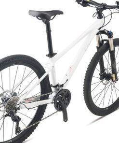 Xe đạp địa Hình Liv Tempt 2 Bản 2021 Màu Trắng (2)