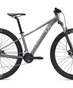 Xe đạp địa Hình Liv Tempt 2 Bản 2022 Màu Xám