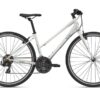 Xe đạp touring nữ Liv Alight Disc 3 (2022) 18 Xe đạp đường Phố Liv Alight 3 Bản 2022 Màu Trắng