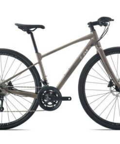 Xe đạp đường phố Liv Aimez SL 2 bản 2024 giảm 1M + KM khủng 19 Xe đạp đường Phố Nữ Liv Aimez Sl 2 Bản 2024 Màu Nâu