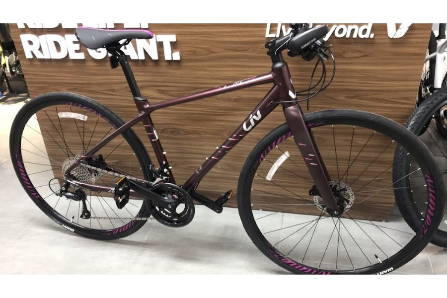 Xe đạp Touring Liv Aimez SL 2 bản 2021 32 Xe đạp đường Phố Nữ Liv Aimez Sl 2 Bản 2021 Màu Nâu