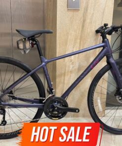 Xe đạp đường Phố Nữ Liv Aimez Sl2 Bản 2022 Màu Tím