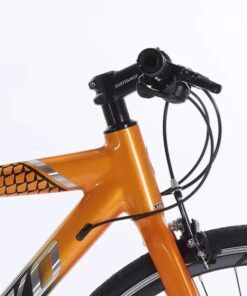 Cổ Lái Xe đạp đường Phố Touring Satako Crown