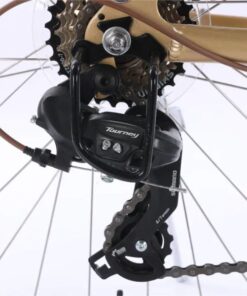 Củ đề Sau Xe đạp Chevaux Parris 6.0