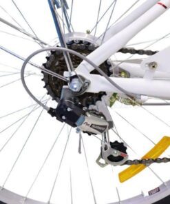 Xe đạp nữ Dtfly City 34 Củ đề Sau Xe đạp Nữ Dtfly City