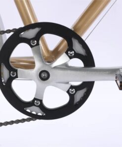 Đùi đĩa Xe đạp Chevaux Parris 6.0