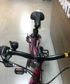 Xe đạp nữ Liv Alight 24 bản 2022 16 Ghi đông Xe Trẻ Em Liv Alight 24 Bản 2022