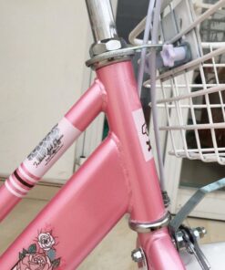 Xe đạp trẻ em Xaming xm03 23 Khung đứng Xe đạp Trẻ Em Xaming Xm03