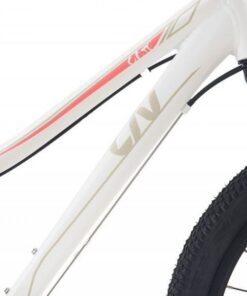 Xe đạp thể thao LIV CATE 24-D 2 bản 2022 21 Khung đứng Xe Trẻ Em Liv Cate 24-d 2 Bản 2022