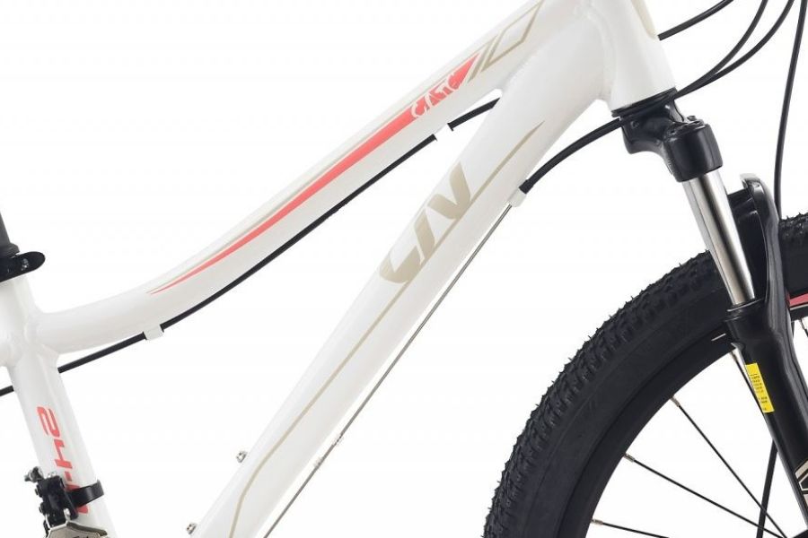 Xe đạp thể thao LIV CATE 24-D 2 bản 2022 27 Khung đứng Xe Trẻ Em Liv Cate 24-d 2 Bản 2022