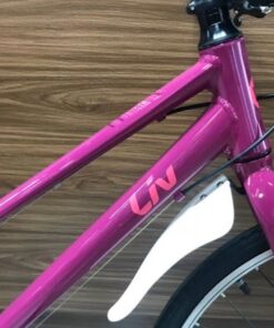 Xe đạp nữ Liv Alight 24 bản 2022 17 Khung Ngang Xe Trẻ Em Liv Alight 24 Bản 2022