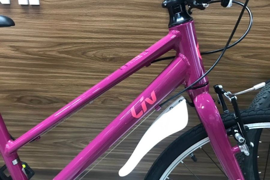 Xe đạp nữ Liv Alight 24 bản 2022 23 Khung Ngang Xe Trẻ Em Liv Alight 24 Bản 2022