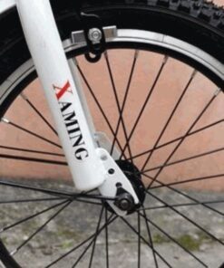 Lan Hoa Xe đạp Trẻ Em Xaming Xm-04 Tay Ngang