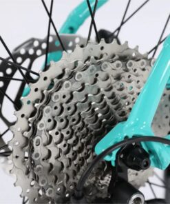 Líp Xe đạp địa Hình Chevaux Toto Bản 2024