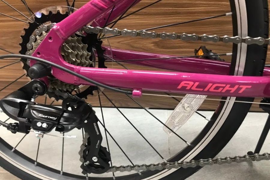 Xe đạp nữ Liv Alight 24 bản 2022 25 Líp Xe Trẻ Em Liv Alight 24 Bản 2022