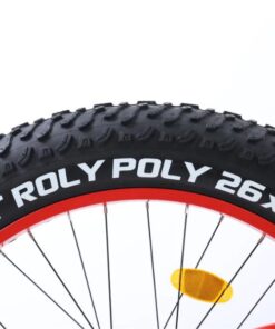 Xe đạp địa hình Chevaux Toto Fat bánh béo 29 Lốp Xe đạp đường Phố Chevaux Toto Fat