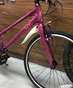 Xe đạp nữ Liv Alight 24 bản 2022 18 Phuộc Xe Trẻ Em Liv Alight 24 Bản 2022