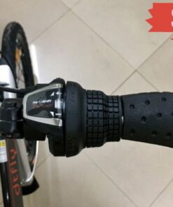 Xe đạp gấp Dtfly P8 34 Tay đề Xe đạp Gấp Dtfly P8